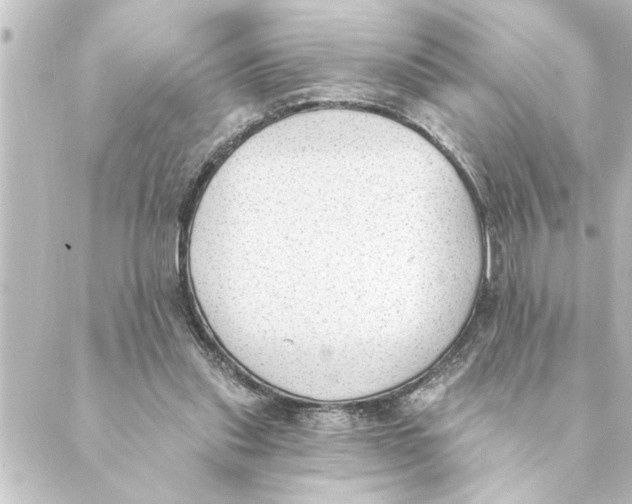 X0000088610253200706221438