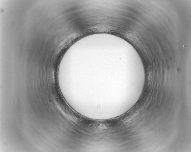 X0000088610254200706221438