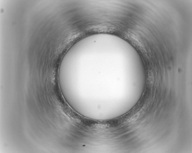 X0000088610255200706221438