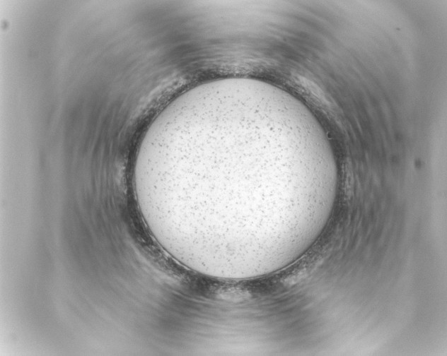 X0000088610258200706221438