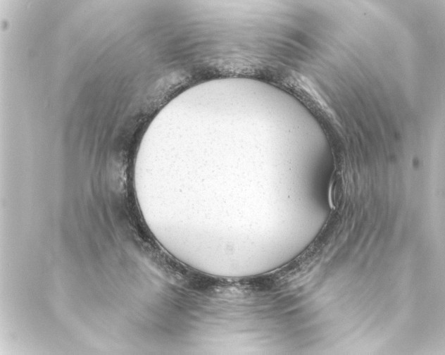 X0000088610259200706221438