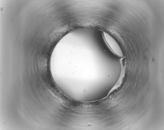 X0000088610260200706221438