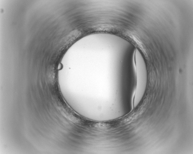 X0000088610261200706221438