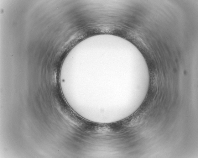 X0000088610262200706221438