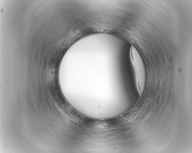 X0000088610263200706221438