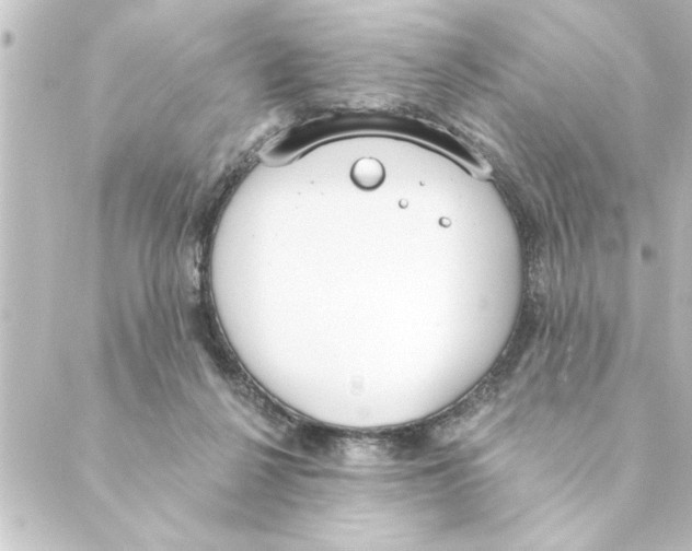 X0000088610264200706221438