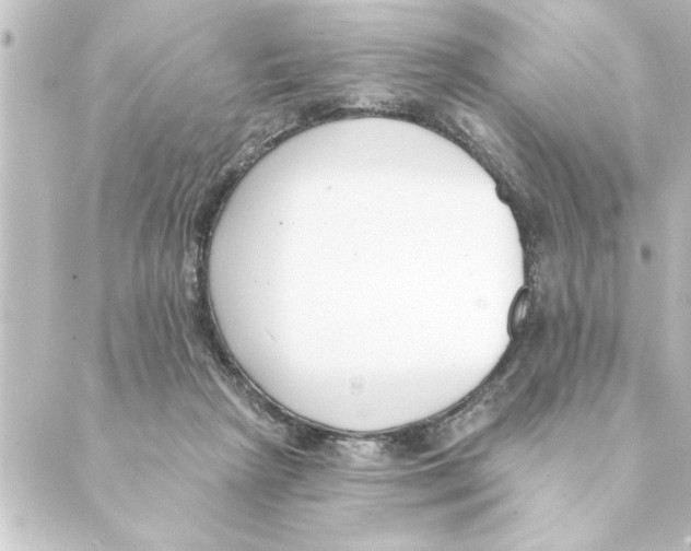 X0000088610265200706221438