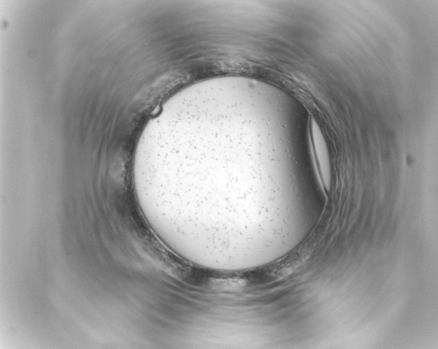 X0000088610266200706221438