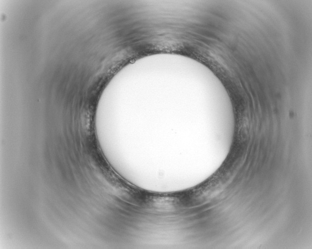 X0000088610268200706221438