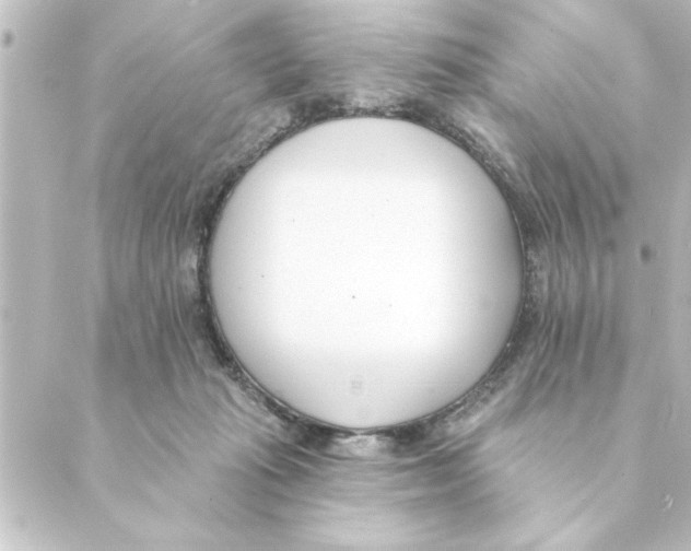 X0000088610269200706221438