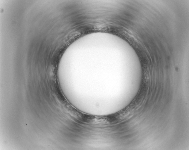 X0000088610270200706221438