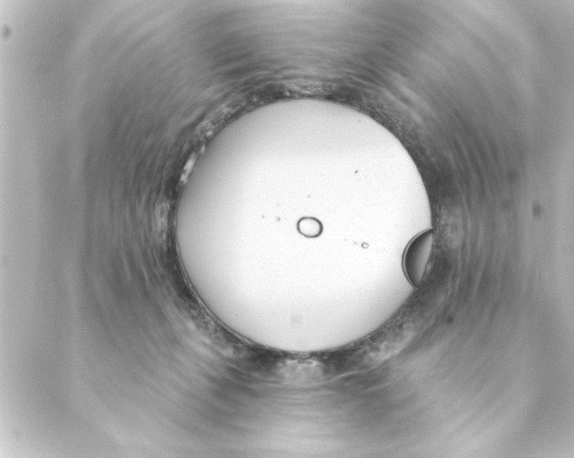 X0000088610271200706221438