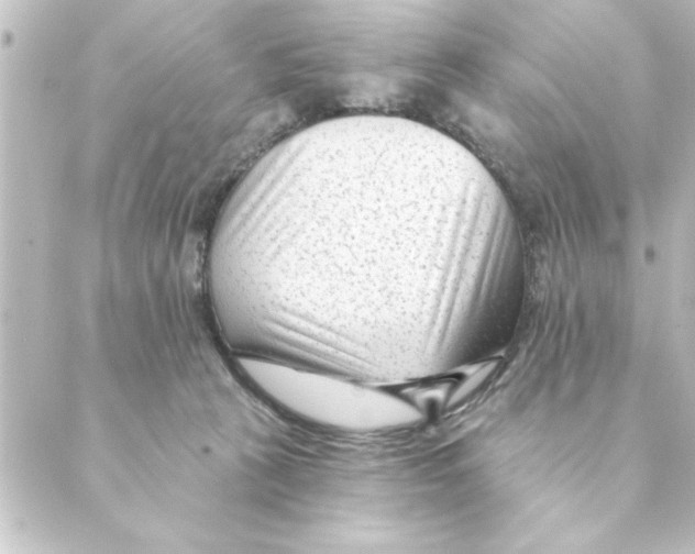 X0000088610273200706221438