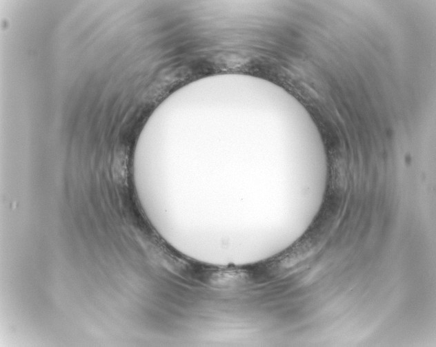 X0000088610274200706221438