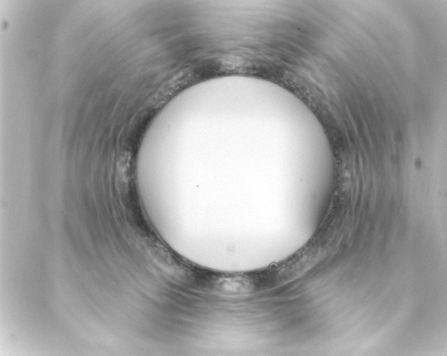 X0000088610275200706221438