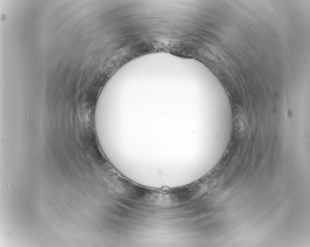 X0000088610276200706221438