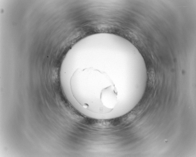 X0000088610278200706221438