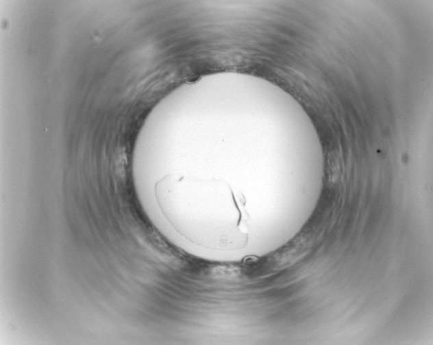 X0000088610279200706221438