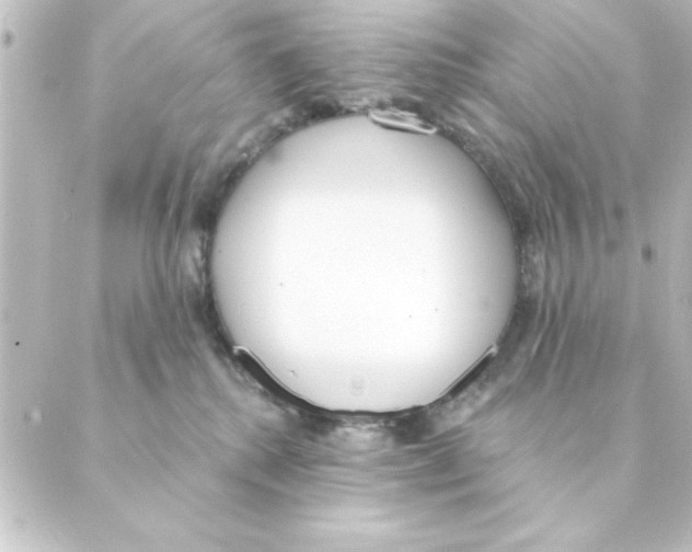 X0000088610280200706221438