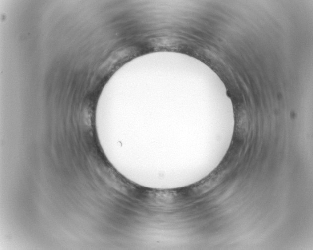 X0000088610282200706221438