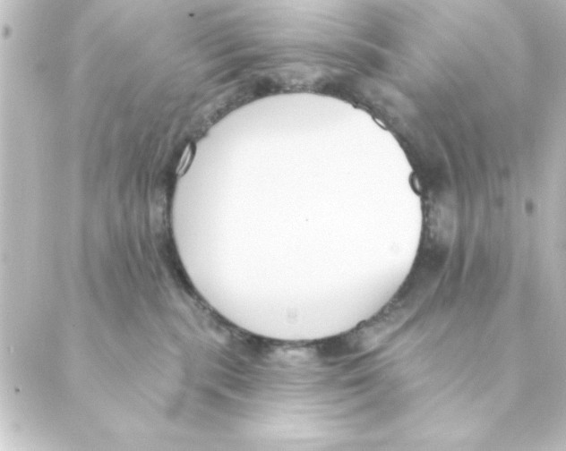 X0000088610283200706221438