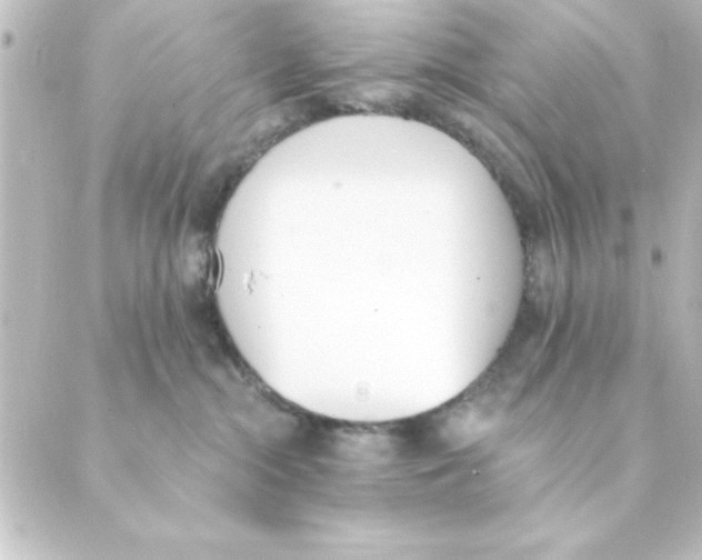 X0000088610284200706221438