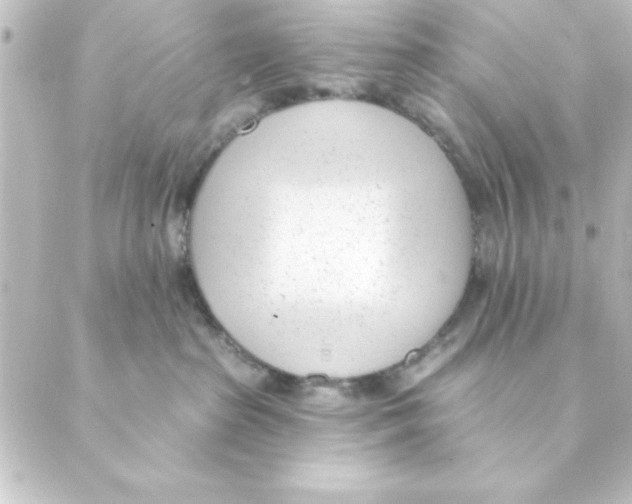 X0000088610285200706221438