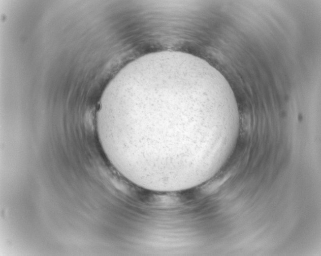 X0000088610286200706221438