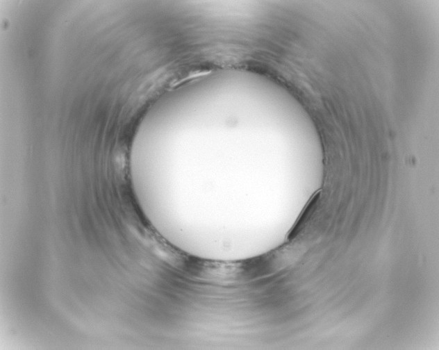 X0000088610288200706221438