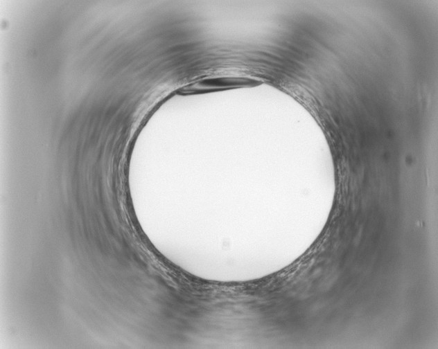 X0000088610289200706221437