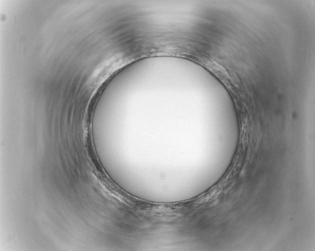 X0000088610290200706221437