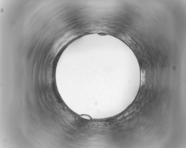 X0000088610291200706221437