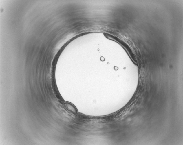 X0000088610292200706221437