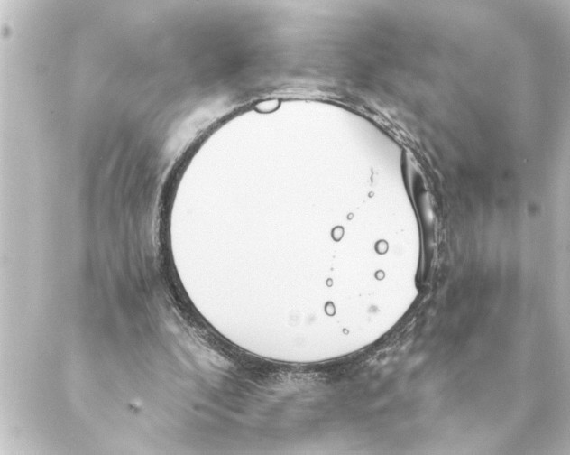 X0000088610296200706221437