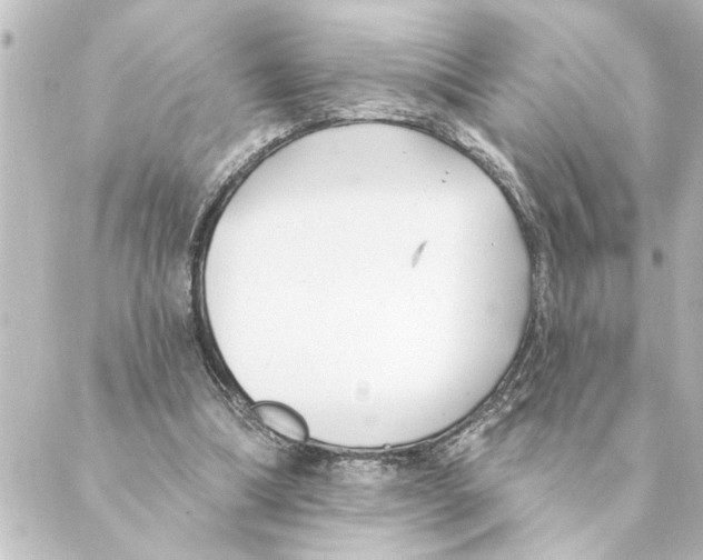 X0000088610298200706221437