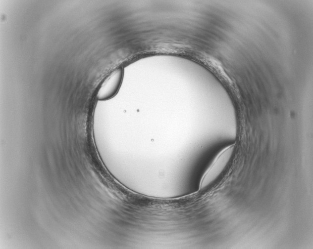 X0000088610299200706221437