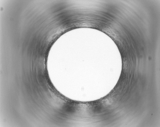 X0000088610302200706221437