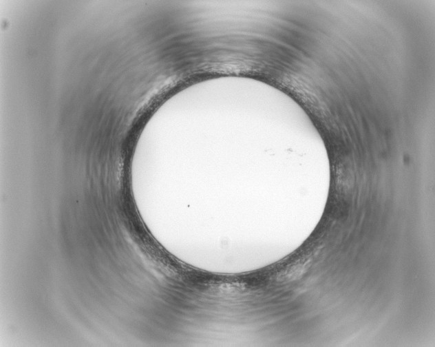 X0000088610304200706221437