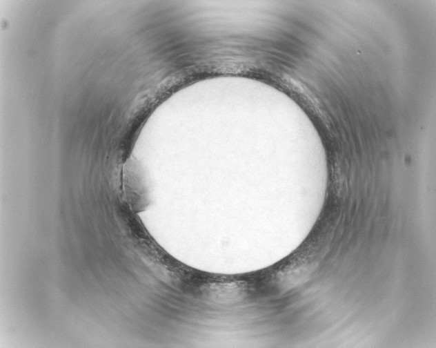 X0000088610307200706221437