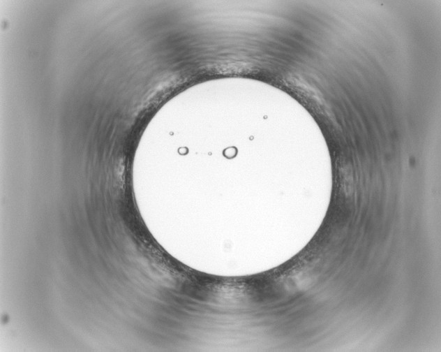 X0000088610308200706221437