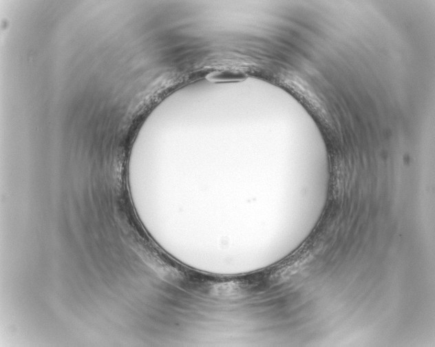 X0000088610309200706221437