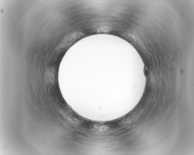 X0000088610311200706221437