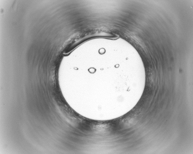 X0000088610312200706221437