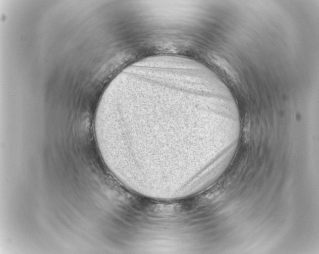 X0000088610314200706221437