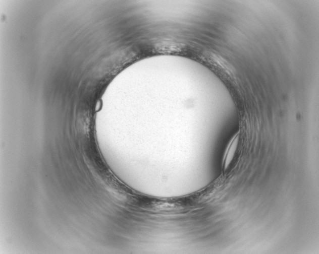 X0000088610315200706221437