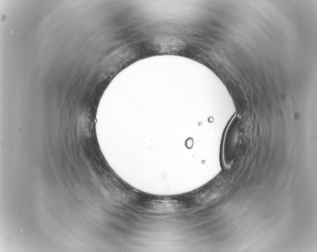 X0000088610316200706221437