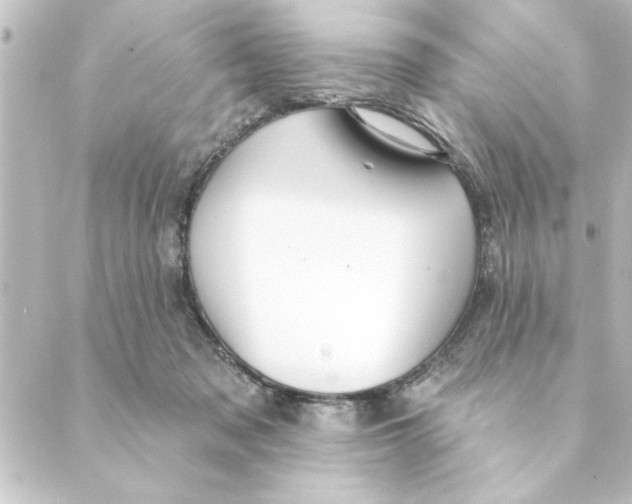 X0000088610317200706221437