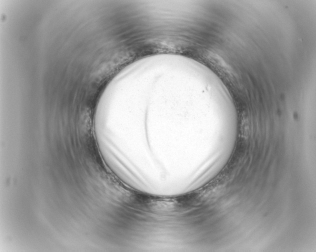 X0000088610318200706221437