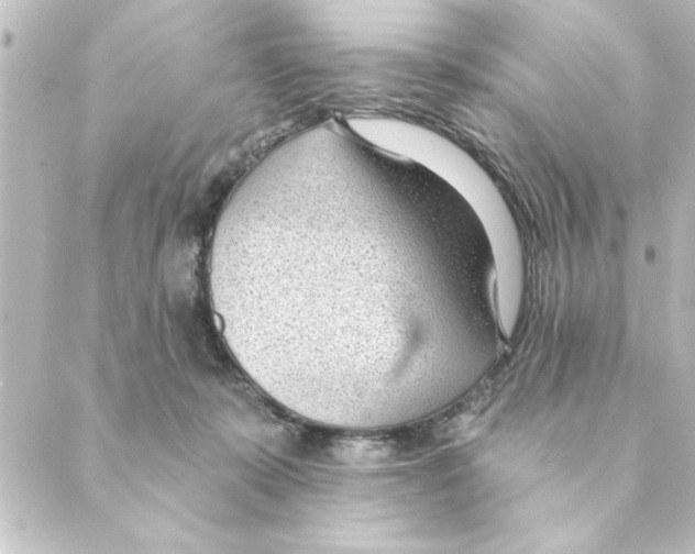 X0000088610319200706221437