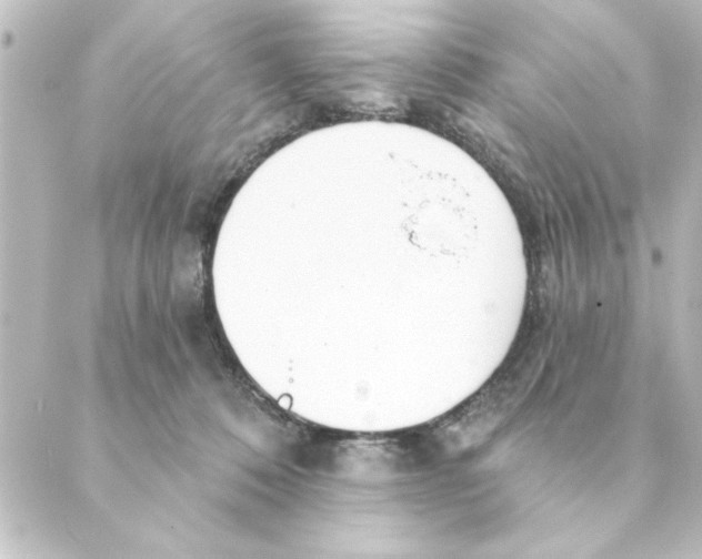 X0000088610320200706221437